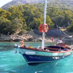 gunesin-tadi-perdue gunesin-tadi-perdue
